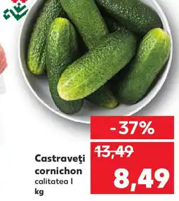 Kaufland Castraveţi cornichon Ofertă