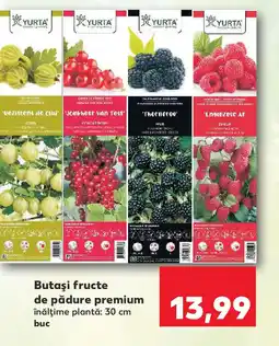 Kaufland Butaşi fructe de pădure premium Ofertă