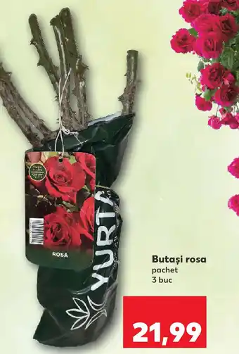 Kaufland Butaşi rosa pachet Ofertă