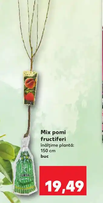 Kaufland Mix pomi fructiferi Ofertă