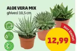 Penny Aloe vera mix Ofertă