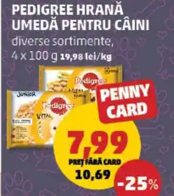 Penny Pedigree hrană umedă pentru câini Ofertă