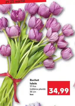 Kaufland Buchet lalele Ofertă