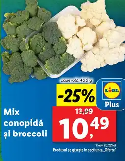 Lidl Mix conopidă şi broccoli Ofertă