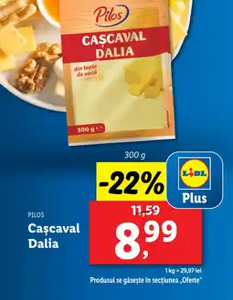 Lidl PILOS Cascaval Dalia Ofertă