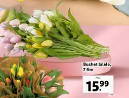 Lidl Buchet lalele, 7 fire Ofertă