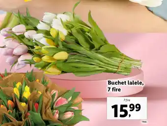 Lidl Buchet lalele, 7 fire Ofertă