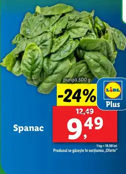 Lidl Spanac Ofertă