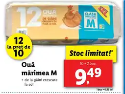 Lidl Oua mărimea M Ofertă