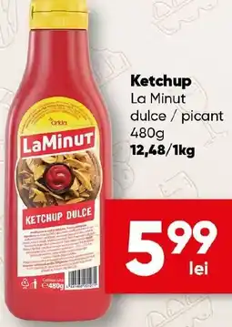 PROFI Ketchup La Minut dulce/picant Ofertă