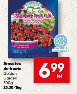 PROFI Amestec de fructe Golden Garden Ofertă