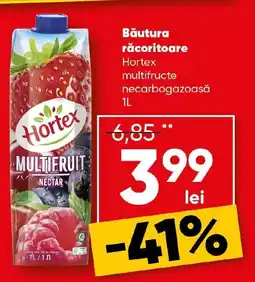 PROFI Băutura răcoritoare Hortex multifructe necarbogazoasă Ofertă