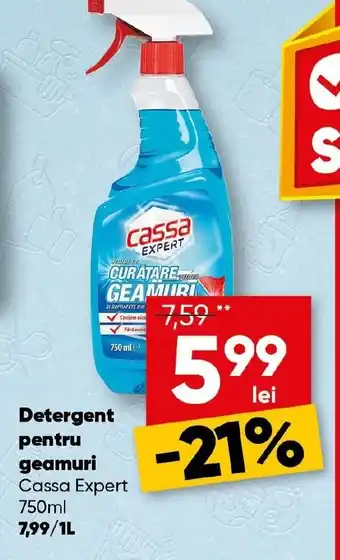 PROFI Detergent pentru geamuri Cassa Expert Ofertă