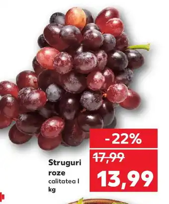 Kaufland Struguri roze Ofertă