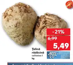 Kaufland Ţelină rădăcină Ofertă