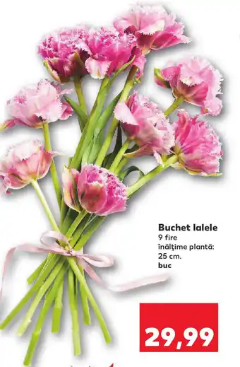 Kaufland Buchet lalele Ofertă