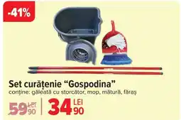 Carrefour Set curățenie "Gospodina" Ofertă