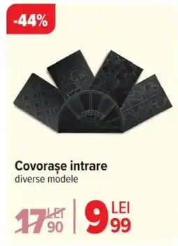 Carrefour Covorase intrare Ofertă