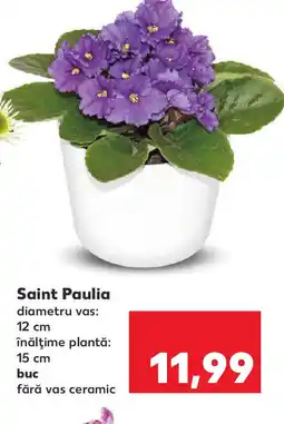 Kaufland Saint Paulia Ofertă
