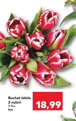 Kaufland Buchet lalele 2 culori Ofertă