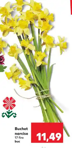 Kaufland Buchet narcise Ofertă