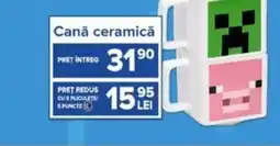 Carrefour Canǎ ceramică Ofertă