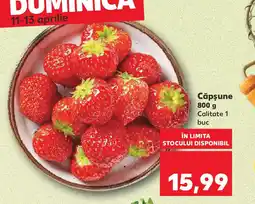 Kaufland Căpşune Ofertă