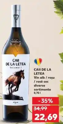 Kaufland CAII DE LA LETEA Ofertă