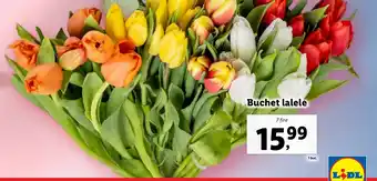 Lidl Buchet lalele Ofertă
