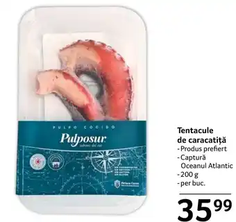 Selgros Tentacule de caracatiţă Ofertă