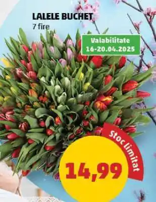 Penny LALELE BUCHET Ofertă