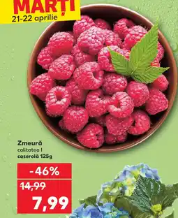 Kaufland Zmeură Ofertă