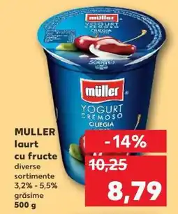 Kaufland MULLER Iaurt cu fructe Ofertă