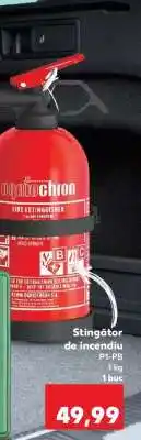 Kaufland Stingător de incendiu Ofertă