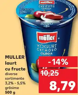 Kaufland MULLER laurt cu fructe Ofertă