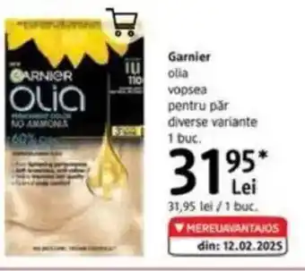DM Garnier olia vopsea pentru păr Ofertă