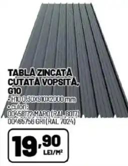 Ambient Tabla zincata cútată vopsità g10 Ofertă