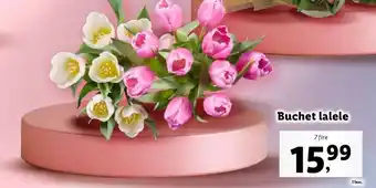Lidl Buchet lalele Ofertă