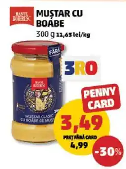 Penny Muștar cu boabe Ofertă