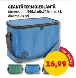 Penny GEANTĂ TERMOIZOLANTĂ Ofertă