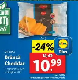 Lidl Brânză Cheddar Ofertă