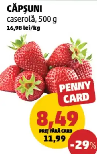 Penny Căpşuni Ofertă