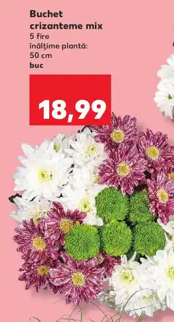 Kaufland Buchet crizanteme mix Ofertă