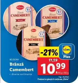 Lidl Brânză Camembert Ofertă