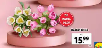 Lidl Buchet lalele Ofertă