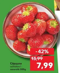 Kaufland Căpşune Ofertă