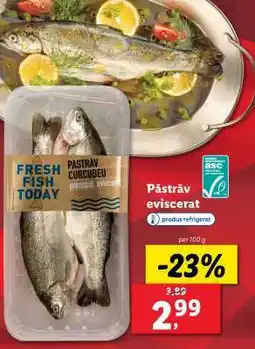 Lidl Păstrăv eviscerat Ofertă