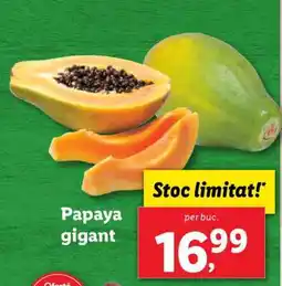 Lidl Papaya gigant Ofertă