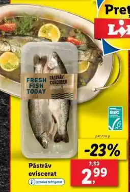 Lidl Păstrăv eviscerat Ofertă