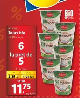Lidl Iaurt bio Ofertă